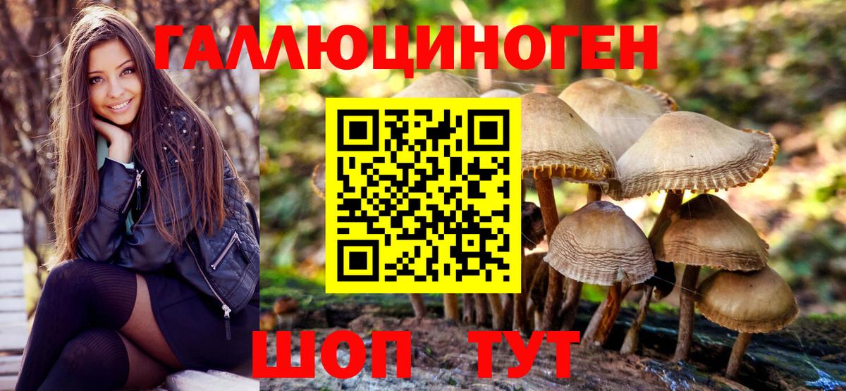 Волжский  Псилоцибиновые грибы GOLDEN TEACHER  где продают наркотики  Вход с VPN 